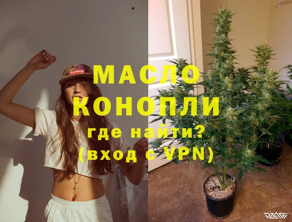 молекула духа Каменка