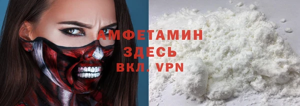 молекула духа Каменка