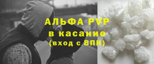 молекула духа Каменка