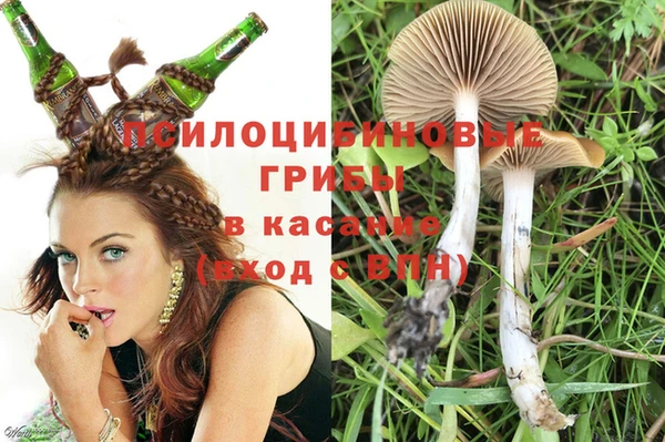 молекула духа Каменка
