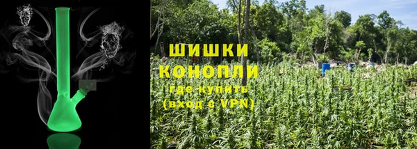 молекула духа Каменка