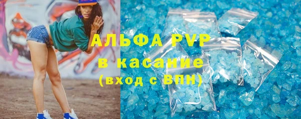 молекула духа Каменка