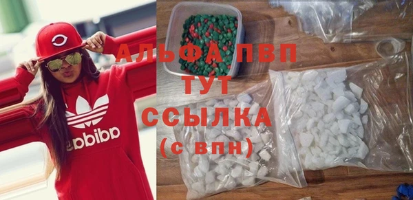 молекула духа Каменка