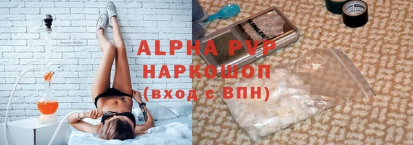 молекула духа Каменка