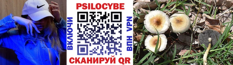 Псилоцибиновые грибы Magic Shrooms  Купить где  Кондрово 